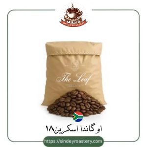 دانه های قهوه اوگاندا اسکرین 18 تازه و باکیفیت برای اسپرسو | سیندی روستری