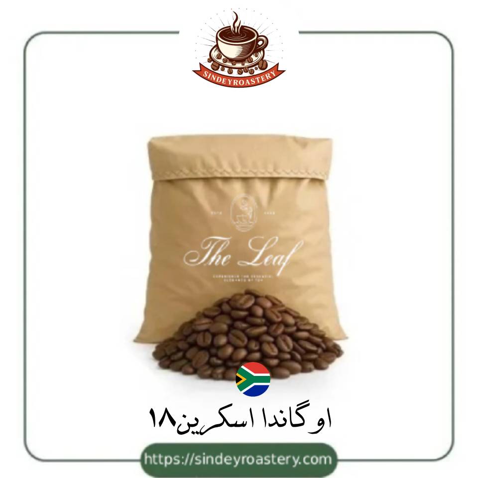 دانه های قهوه اوگاندا اسکرین 18 تازه و باکیفیت برای اسپرسو | سیندی روستری