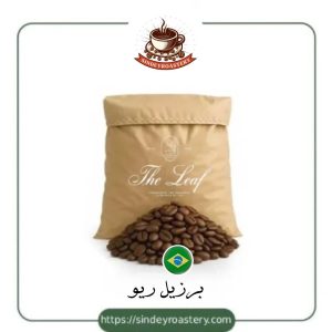 قهوه برزیل ریو با طعم کلاسیک و بادی بالا برای اسپرسو سیندی روستری