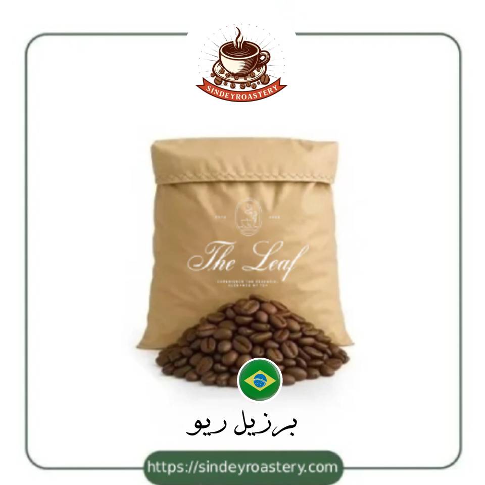 قهوه برزیل ریو با طعم کلاسیک و بادی بالا برای اسپرسو سیندی روستری
