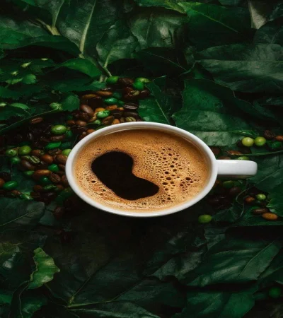 چرا رست تازه اینقدر مهم است