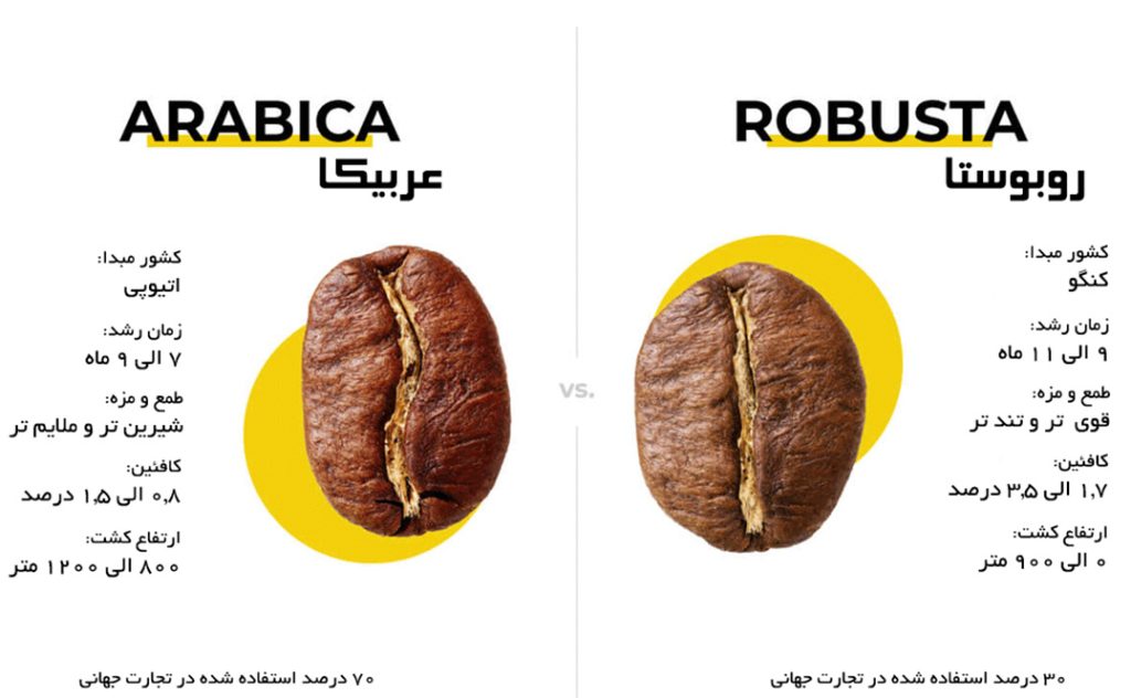 تفاوت قهوه عربیکا و روبوستا|قهوه روبوستا|قهوه عربیکا|تفاوت قهوه عربیکا و روبوستا: کدام یک برای سلیقه شما مناسب‌تر است؟
